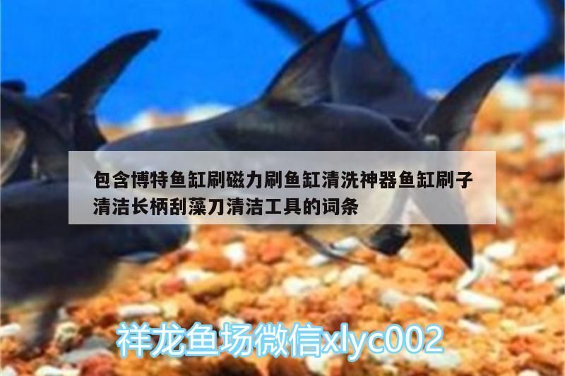 包含博特魚缸刷磁力刷魚缸清洗神器魚缸刷子清潔長(zhǎng)柄刮藻刀清潔工具的詞條 包含博特魚缸刷磁力刷魚缸清洗神器魚缸刷子清潔長(zhǎng)柄刮藻刀清潔工具的詞條 博特水族