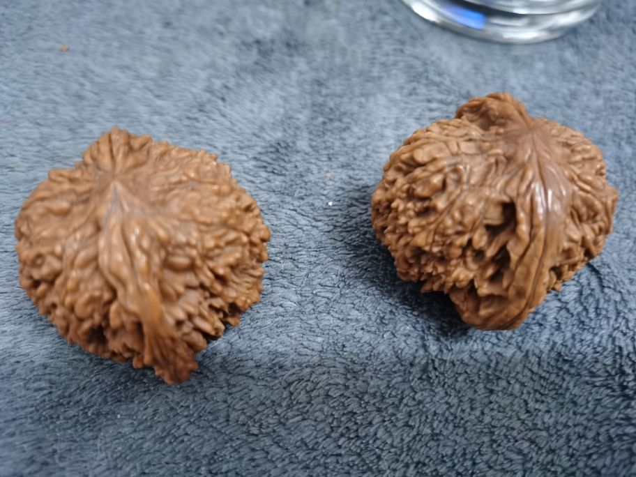 文玩陸龜