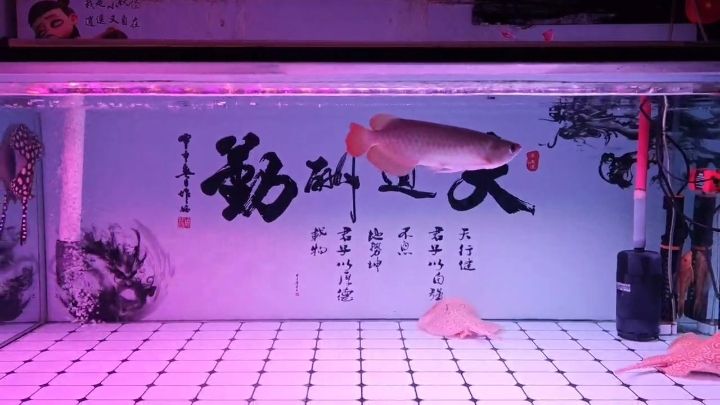 早安，重新啟航，來個全家福