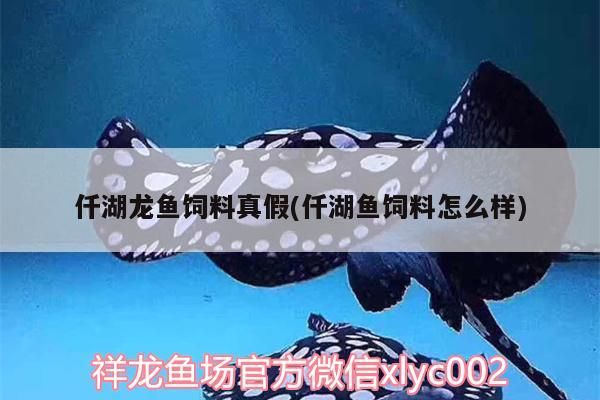 仟湖龍魚飼料真假(仟湖魚飼料怎么樣)