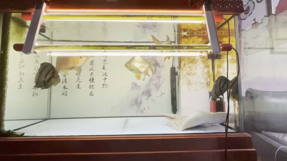 按時長大