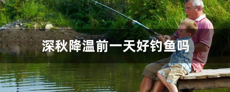 深秋降溫前一天好釣魚嗎