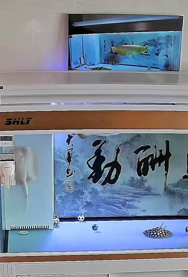 開心到起飛??