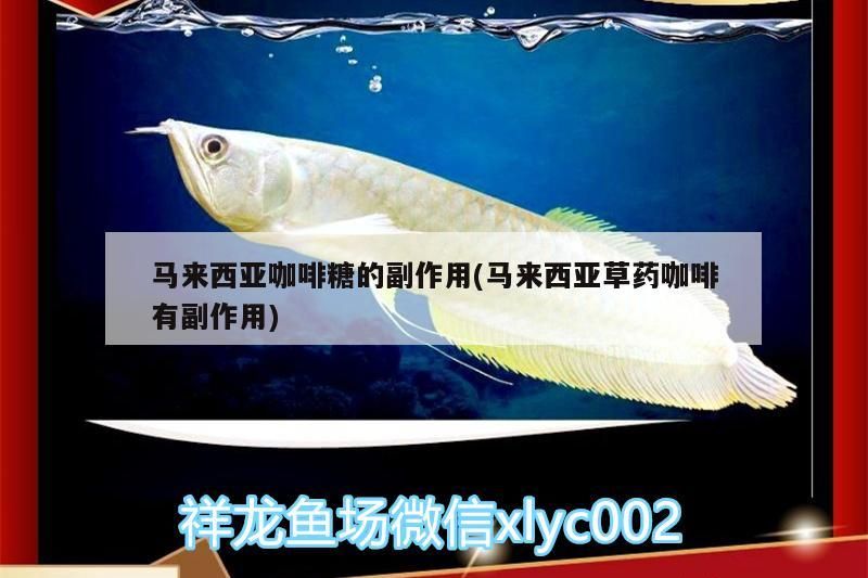馬來西亞咖啡糖的副作用(馬來西亞草藥咖啡有副作用)