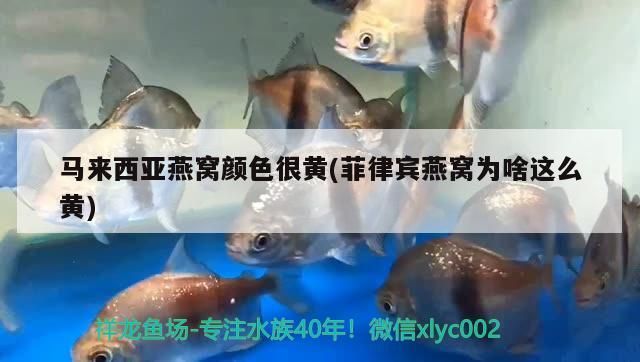 詳細(xì)閱讀:森森水族用品有限公司電話 森森水族箱官網(wǎng)電話 森森水族用品有限公司電話 森森水族箱官網(wǎng)電話