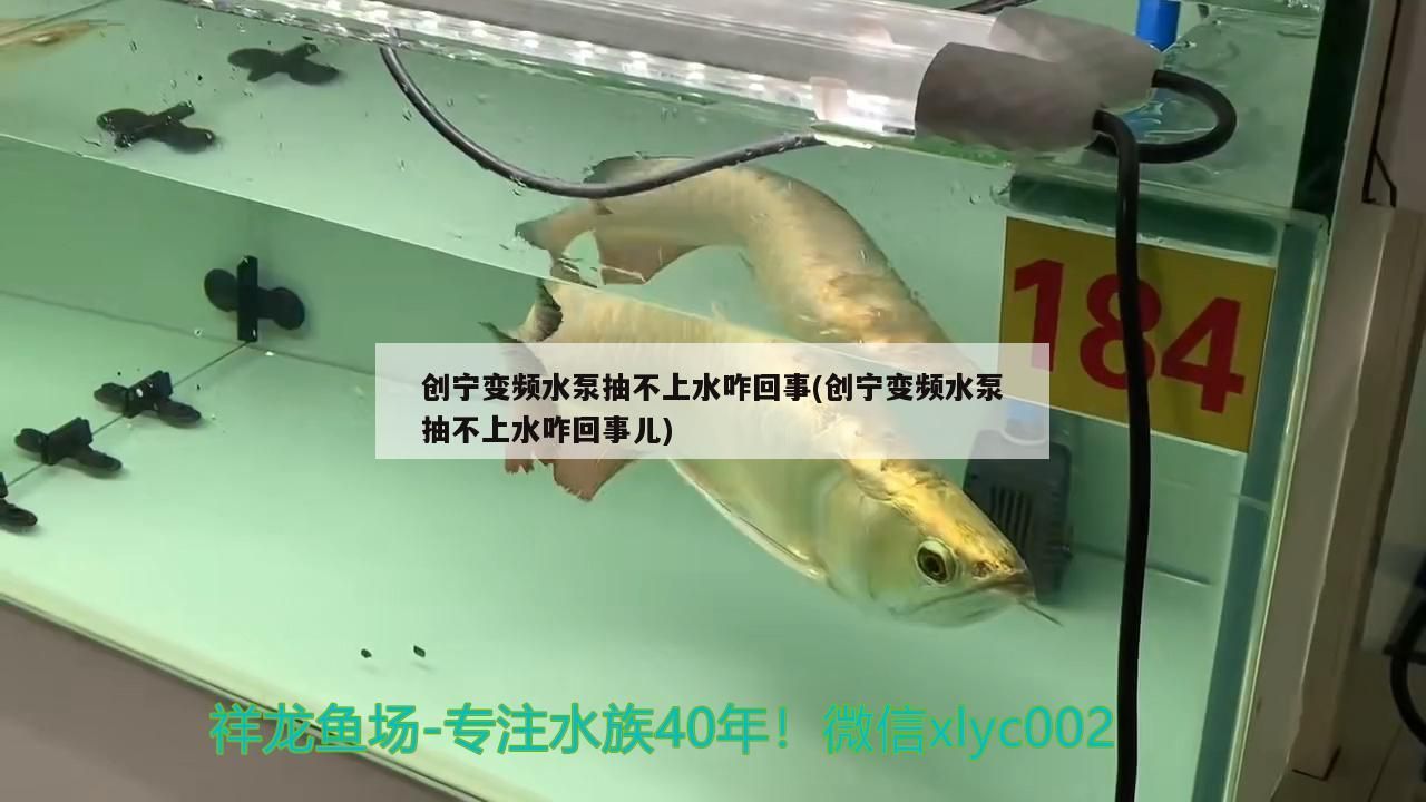 創寧變頻水泵抽不上水咋回事(創寧變頻水泵抽不上水咋回事兒) 創寧變頻水泵抽不上水咋回事(創寧變頻水泵抽不上水咋回事兒) 創寧水族