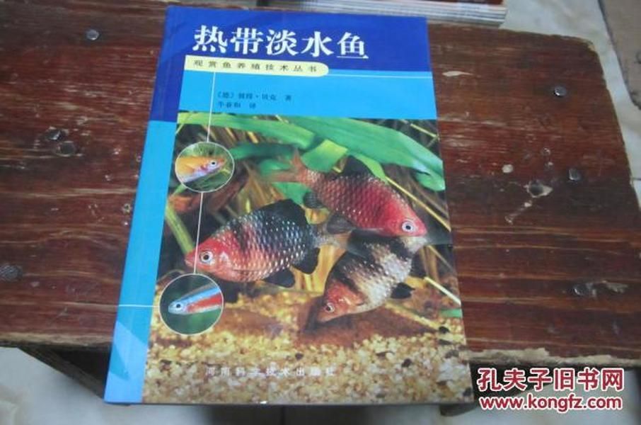好養淡水魚觀賞魚（淡水觀賞魚的養殖與繁育）