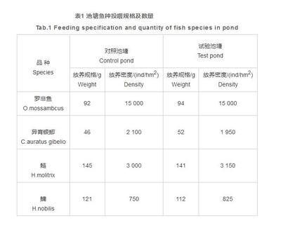 魚龍，跨越文化的多重象征意義
