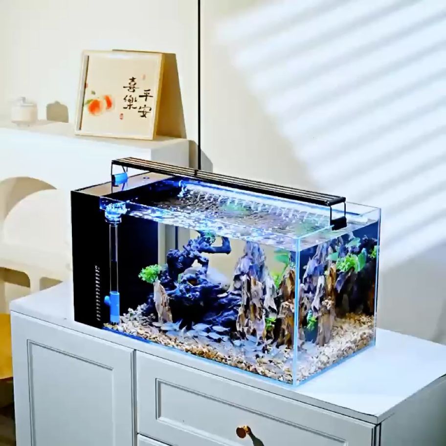 魚缸過濾器選購指南:自制魚缸過濾器魚缸上置過濾器對于養魚愛好者的必備知識 請欣賞一下我的新魚缸!! 龍魚論壇 請欣賞一下我的新魚缸!! 請欣賞一下我的新魚缸!! 龍魚論壇