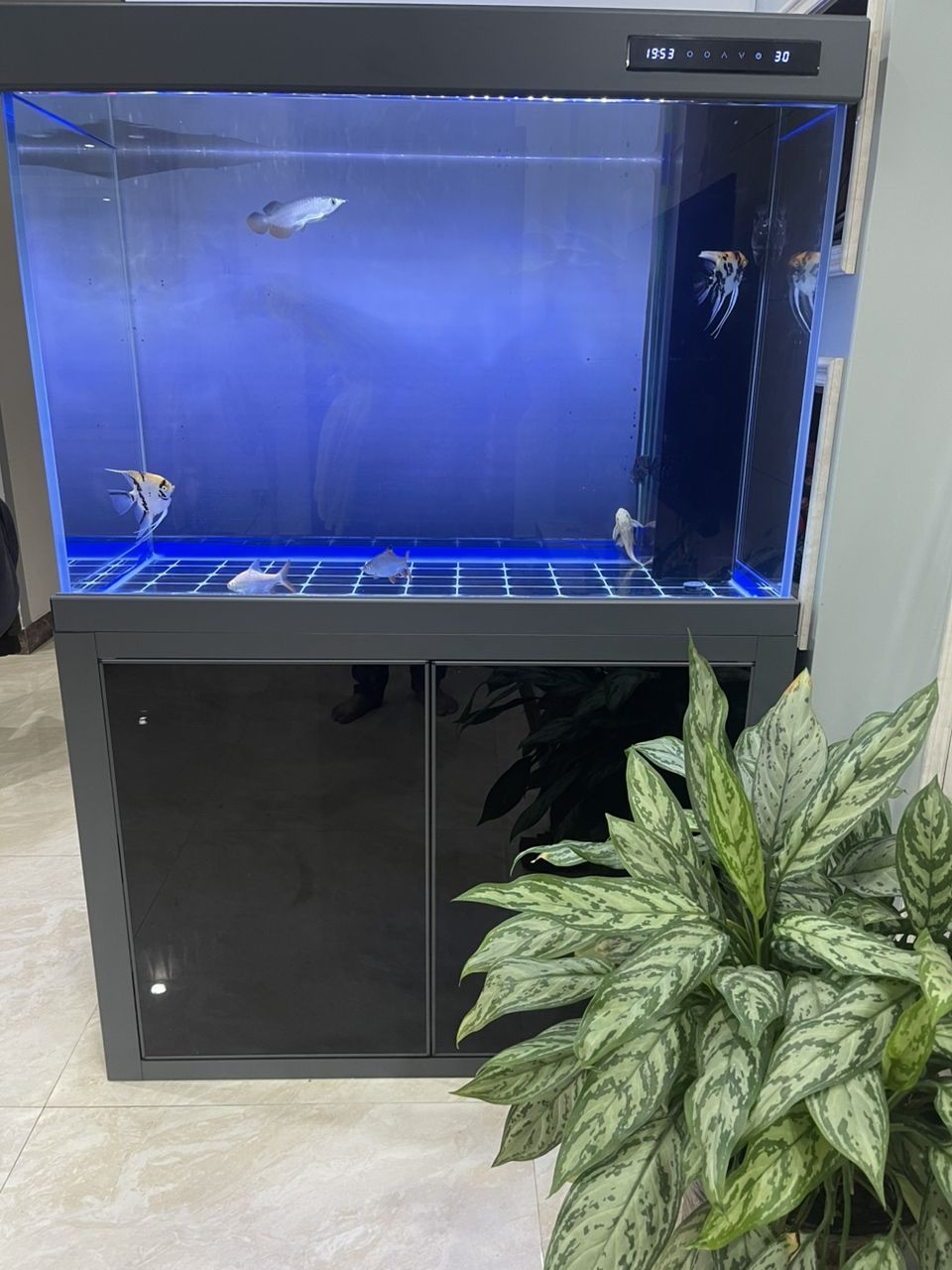 把 LED 換成飛利浦 865?一根小夜燈 ??