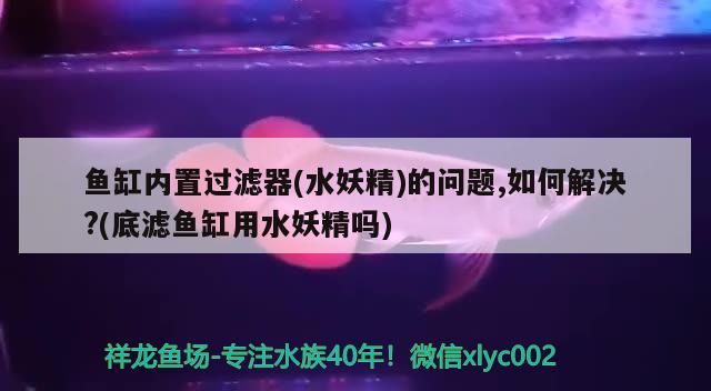 yee意品水族官網（下列風險中屬于房地產經紀人道德風險的有） yee意品水族官網（下列風險中屬于房地產經紀人道德風險的有） yee 第2張