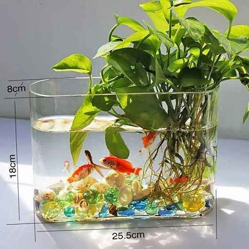 龍魚干蝦有營養嗎 底濾魚缸上水口咕嚕咕嚕響(底濾魚缸上水口咕嚕咕嚕響怎么辦) 九鼎魚缸 底濾魚缸上水口咕嚕咕嚕響(底濾魚缸上水口咕嚕咕嚕響怎么辦) 底濾魚缸上水口咕嚕咕嚕響(底濾魚缸上水口咕嚕咕嚕響怎么辦) 九鼎魚缸