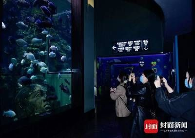 全國(guó)水族館排行2020年：2020年中國(guó)全國(guó)水族館排行