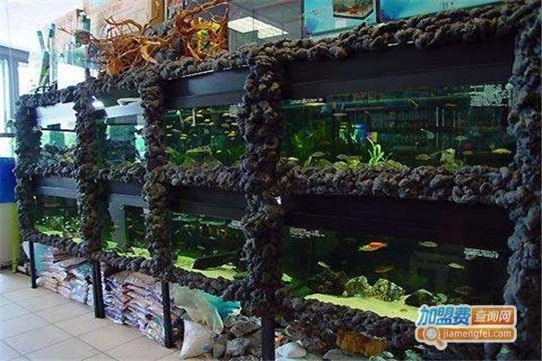 觀賞魚加盟店排行榜最新(2024年觀賞魚加盟店排行榜) 新加坡三巴旺 第1張 觀賞魚加盟店排行榜最新(2024年觀賞魚加盟店排行榜) 觀賞魚加盟店排行榜最新(2024年觀賞魚加盟店排行榜) 新加坡三巴旺 第1張