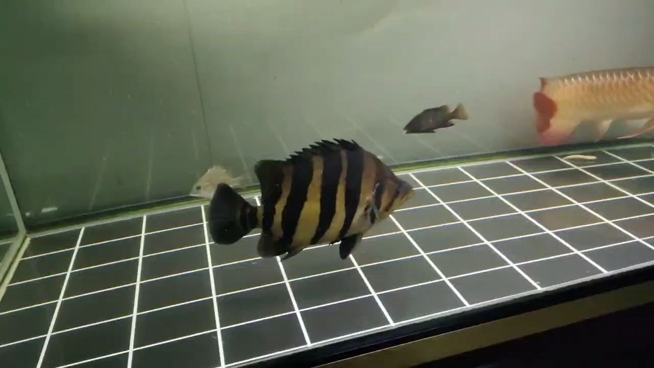 來打卡