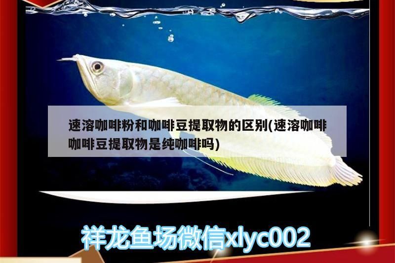 速溶咖啡粉和咖啡豆提取物的區別(速溶咖啡咖啡豆提取物是純咖啡嗎) 速溶咖啡粉和咖啡豆提取物的區別(速溶咖啡咖啡豆提取物是純咖啡嗎) 馬來西亞咖啡
