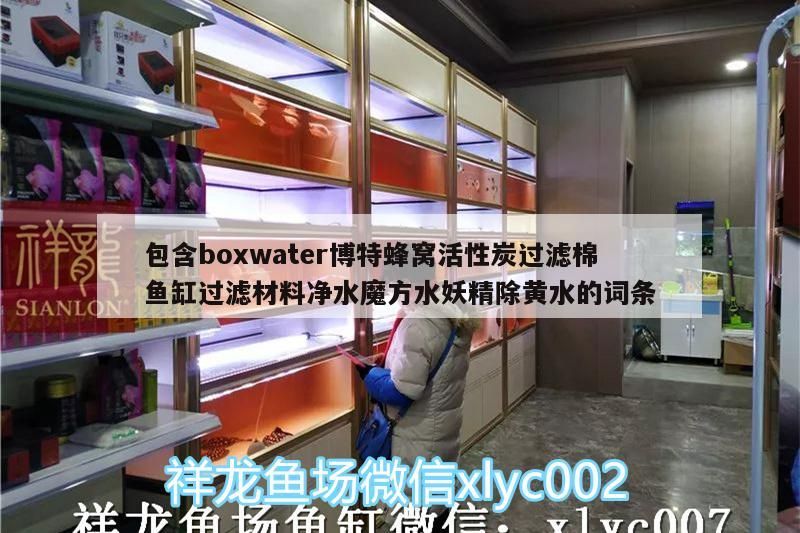 包含boxwater博特蜂窩活性炭過濾棉魚缸過濾材料凈水魔方水妖精除黃水的詞條 包含boxwater博特蜂窩活性炭過濾棉魚缸過濾材料凈水魔方水妖精除黃水的詞條 博特水族