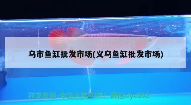 鸚鵡魚和銀龍魚混養怎樣喂食 烏市魚缸批發市場(義烏魚缸批發市場) 觀賞魚百科 烏市魚缸批發市場(義烏魚缸批發市場) 烏市魚缸批發市場(義烏魚缸批發市場) 觀賞魚百科