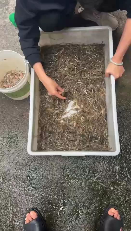 一份執著，一份熱愛