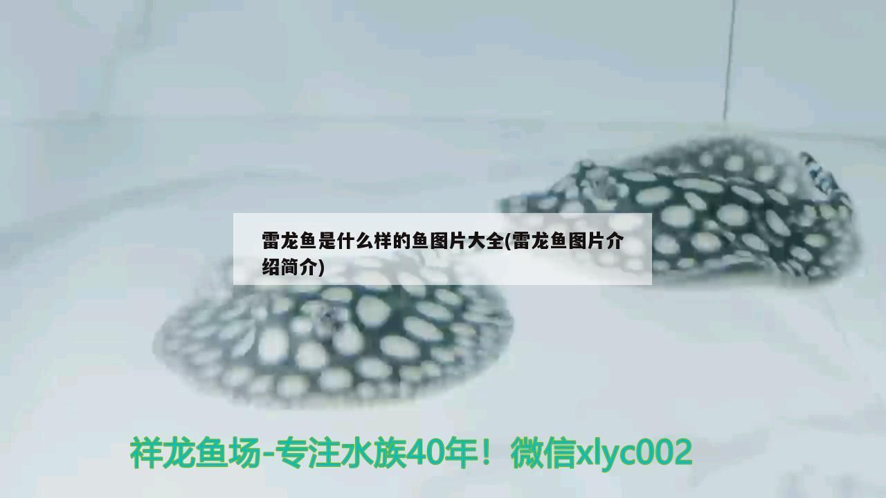 轉發728
