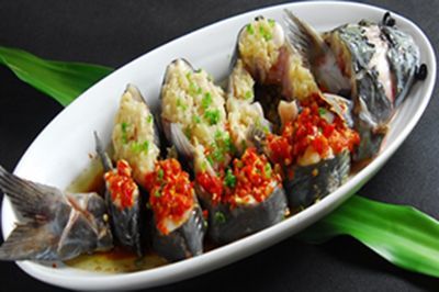 觀賞魚店加盟店哪家好（烏蘭浩特觀賞魚店加盟）