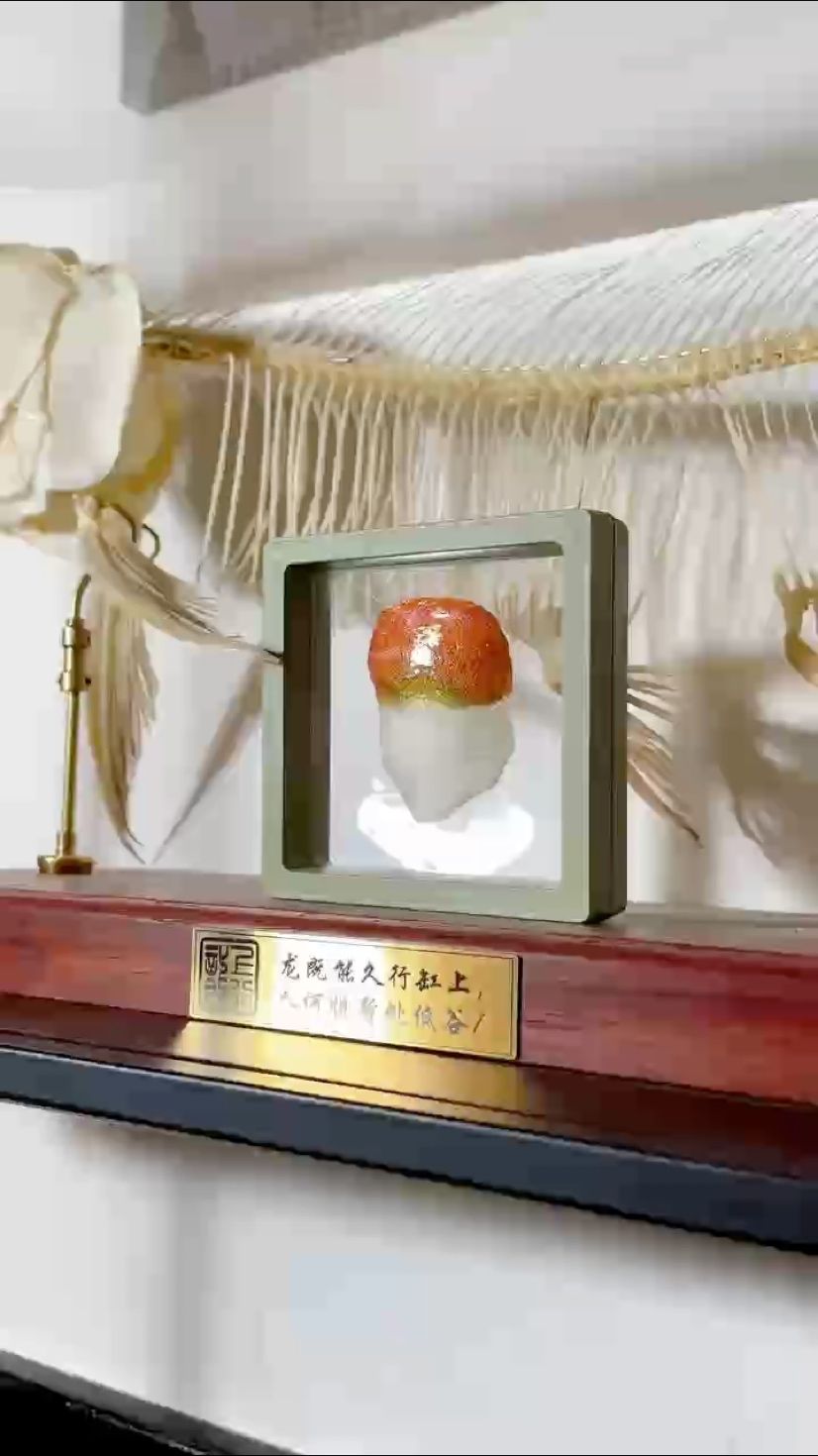 全是養(yǎng)魚(yú)人的一眼好心情！