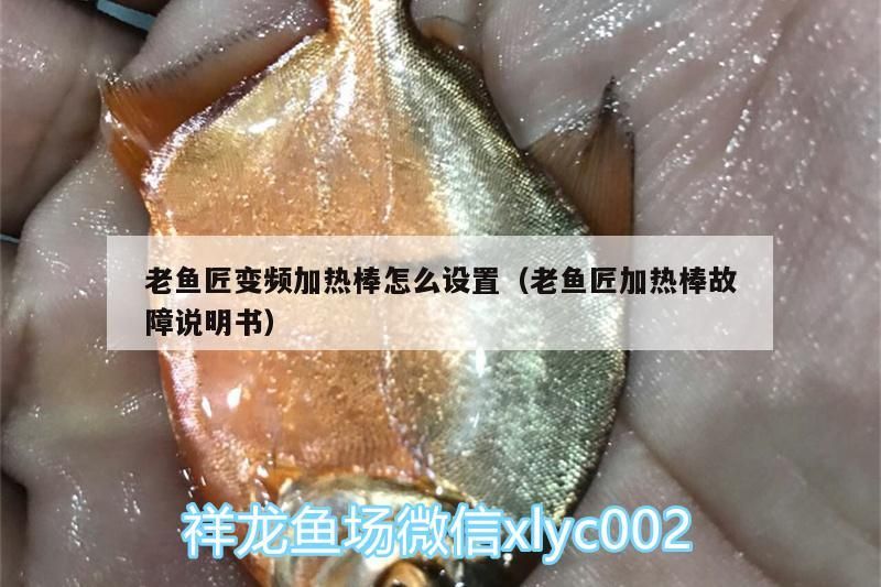 詳細(xì)閱讀:老魚(yú)匠變頻加熱棒怎么設(shè)置(老魚(yú)匠加熱棒故障說(shuō)明書(shū)) 老魚(yú)匠變頻加熱棒怎么設(shè)置(老魚(yú)匠加熱棒故障說(shuō)明書(shū))