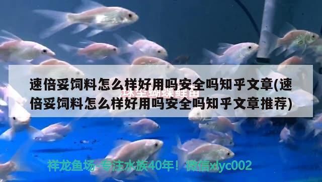 魚缸過濾器選購指南:自制魚缸過濾器魚缸上置過濾器對于養魚愛好者的必備知識 速倍妥飼料怎么樣好用嗎安全嗎知乎文章(速倍妥飼料怎么樣好用嗎安全嗎知乎文章推薦) 速倍妥 速倍妥飼料怎么樣好用嗎安全嗎知乎文章(速倍妥飼料怎么樣好用嗎安全嗎知乎文章推薦) 速倍妥飼料怎么樣好用嗎安全嗎知乎文章(速倍妥飼料怎么樣好用嗎安全嗎知乎文章推薦) 速倍妥