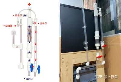 diy自制魚缸：diy自制魚缸制作經驗分享