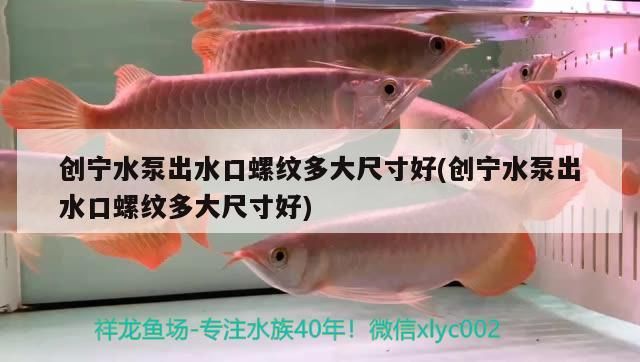 創寧水泵出水口螺紋多大尺寸好(創寧水泵出水口螺紋多大尺寸好)