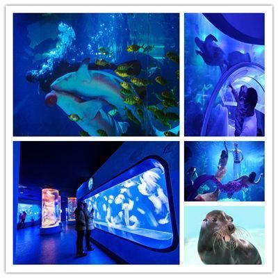 水族館好玩嗎值得去嗎：上海水族館親子游最佳季節(jié)選擇達(dá)拉斯水族館親子游體驗(yàn)