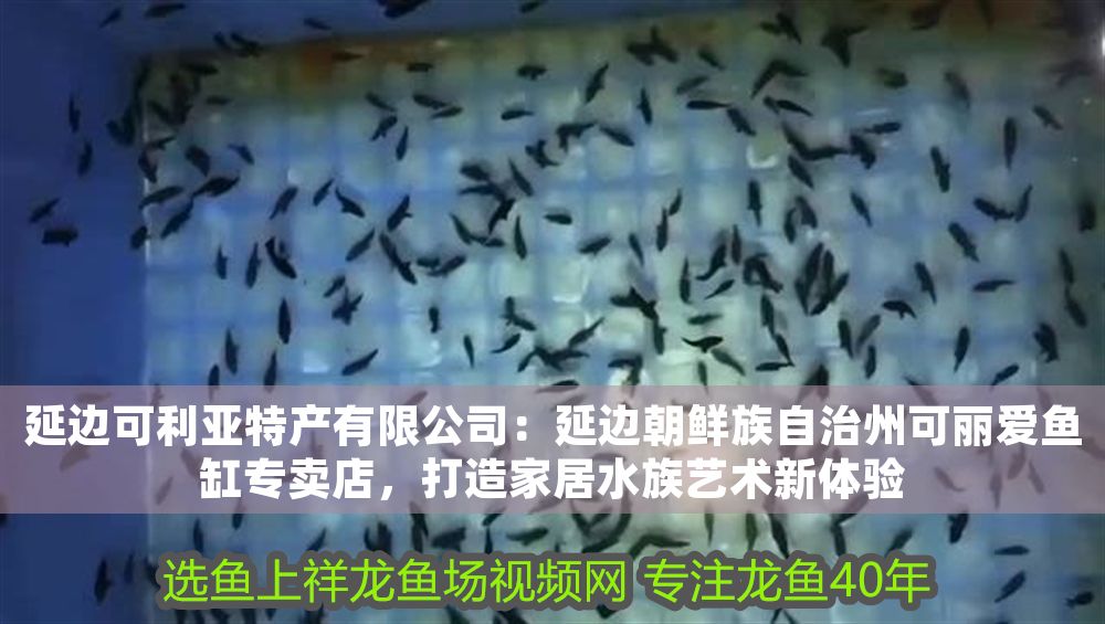 延邊可利亞特產(chǎn)有限公司：延邊朝鮮族自治州可麗愛魚缸專賣店，打造家居水族藝術(shù)新體驗(yàn)