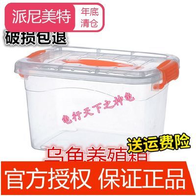 黑魚怎么養(yǎng)魚缸里（養(yǎng)殖黑魚需要注意以下幾個(gè)方面） 黑魚怎么養(yǎng)魚缸里（養(yǎng)殖黑魚需要注意以下幾個(gè)方面） 貝因美 第2張