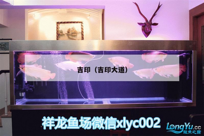 吉印（吉印大道）