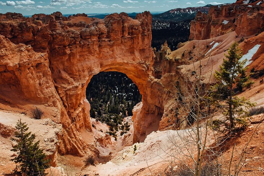 魚缸亞克力和玻璃的哪個好用一點(杜甫草堂是室內還是室外)