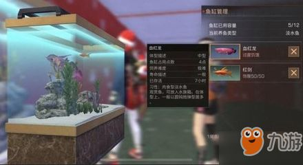 明日之后如何釣錦鯉和血紅龍魚：明日之后釣錦鯉和血紅龍魚攻略，秋日森林釣魚點位推薦