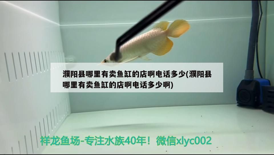 濮陽縣哪里有賣魚缸的店啊電話多少(濮陽縣哪里有賣魚缸的店啊電話多少啊)
