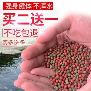 觀賞魚餌料的做法（自制觀賞魚飼料添加劑的作用與選擇飼料添加劑的作用）