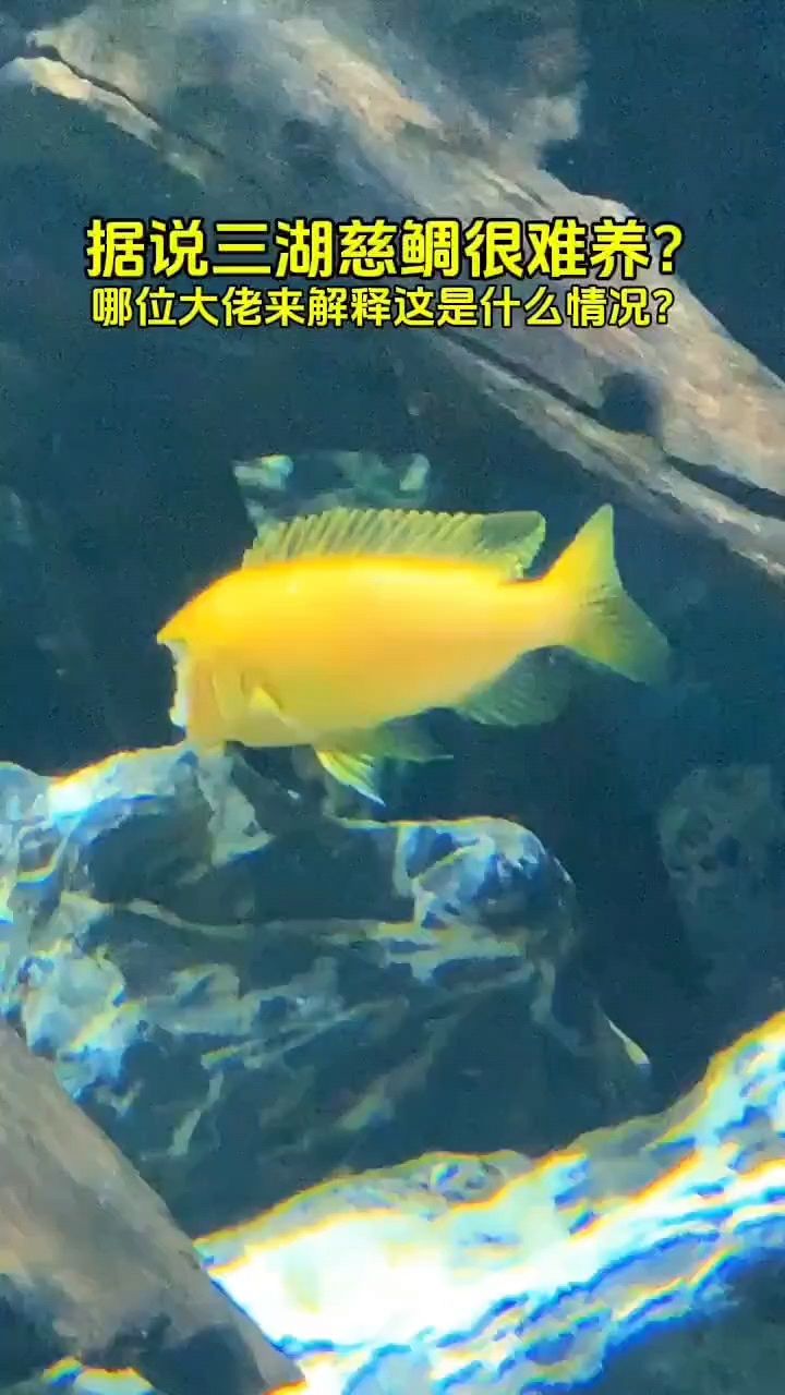 啥情況