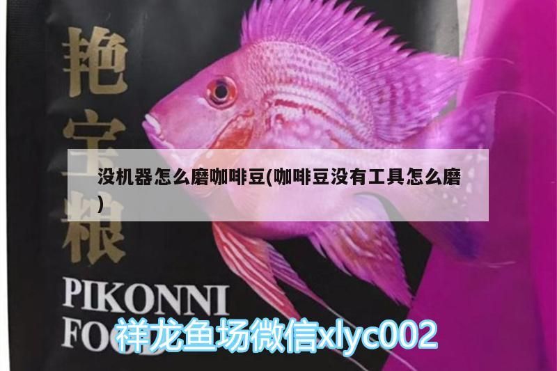 沒機器怎么磨咖啡豆(咖啡豆沒有工具怎么磨)