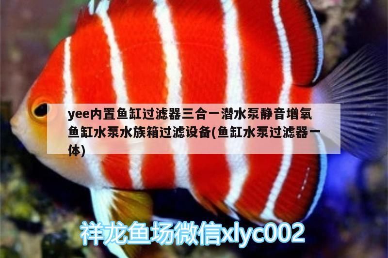 yee內(nèi)置魚缸過濾器三合一潛水泵靜音增氧魚缸水泵水族箱過濾設備(魚缸水泵過濾器一體)