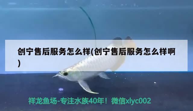 魚(yú)缸用增氧泵價(jià)格是多少:魚(yú)缸增氧機(jī)-xtrac增氧機(jī)-xtrac增氧機(jī) 創(chuàng)寧售后服務(wù)怎么樣(創(chuàng)寧售后服務(wù)怎么樣啊) 創(chuàng)寧水族 創(chuàng)寧售后服務(wù)怎么樣(創(chuàng)寧售后服務(wù)怎么樣啊) 創(chuàng)寧售后服務(wù)怎么樣(創(chuàng)寧售后服務(wù)怎么樣啊) 創(chuàng)寧水族