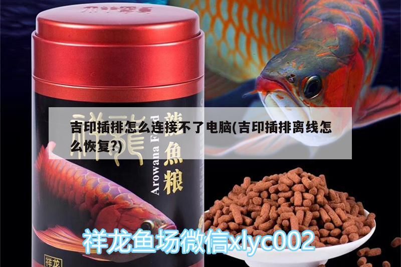 紅龍魚用黃燈烤有用嗎 吉印插排怎么連接不了電腦(吉印插排離線怎么恢復?) 吉印水族 吉印插排怎么連接不了電腦(吉印插排離線怎么恢復?) 吉印插排怎么連接不了電腦(吉印插排離線怎么恢復?) 吉印水族