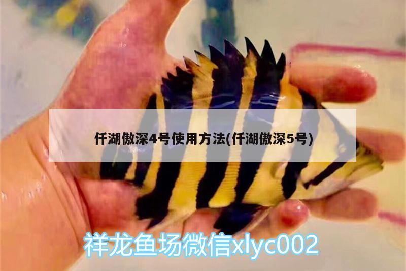 仟湖傲深4號使用方法(仟湖傲深5號)