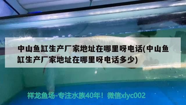 中山魚缸生產(chǎn)廠家地址在哪里呀電話(中山魚缸生產(chǎn)廠家地址在哪里呀電話多少)