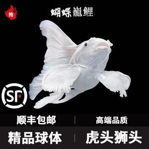 祥龍魚場還有哪些龍魚食料？，祥龍魚場專用飼料喂養(yǎng)指南 祥龍魚場還有哪些龍魚食料？，祥龍魚場專用飼料喂養(yǎng)指南 龍魚百科 第1張