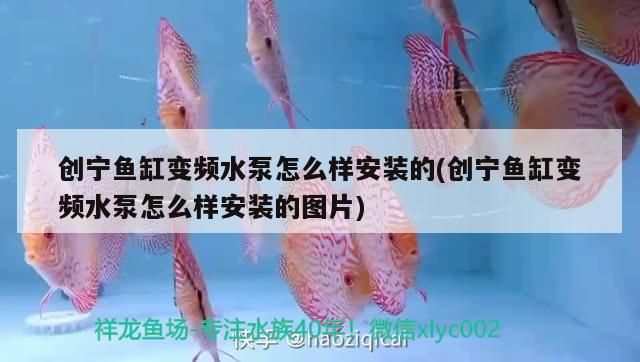 創(chuàng)寧魚缸變頻水泵怎么樣安裝的(創(chuàng)寧魚缸變頻水泵怎么樣安裝的圖片)