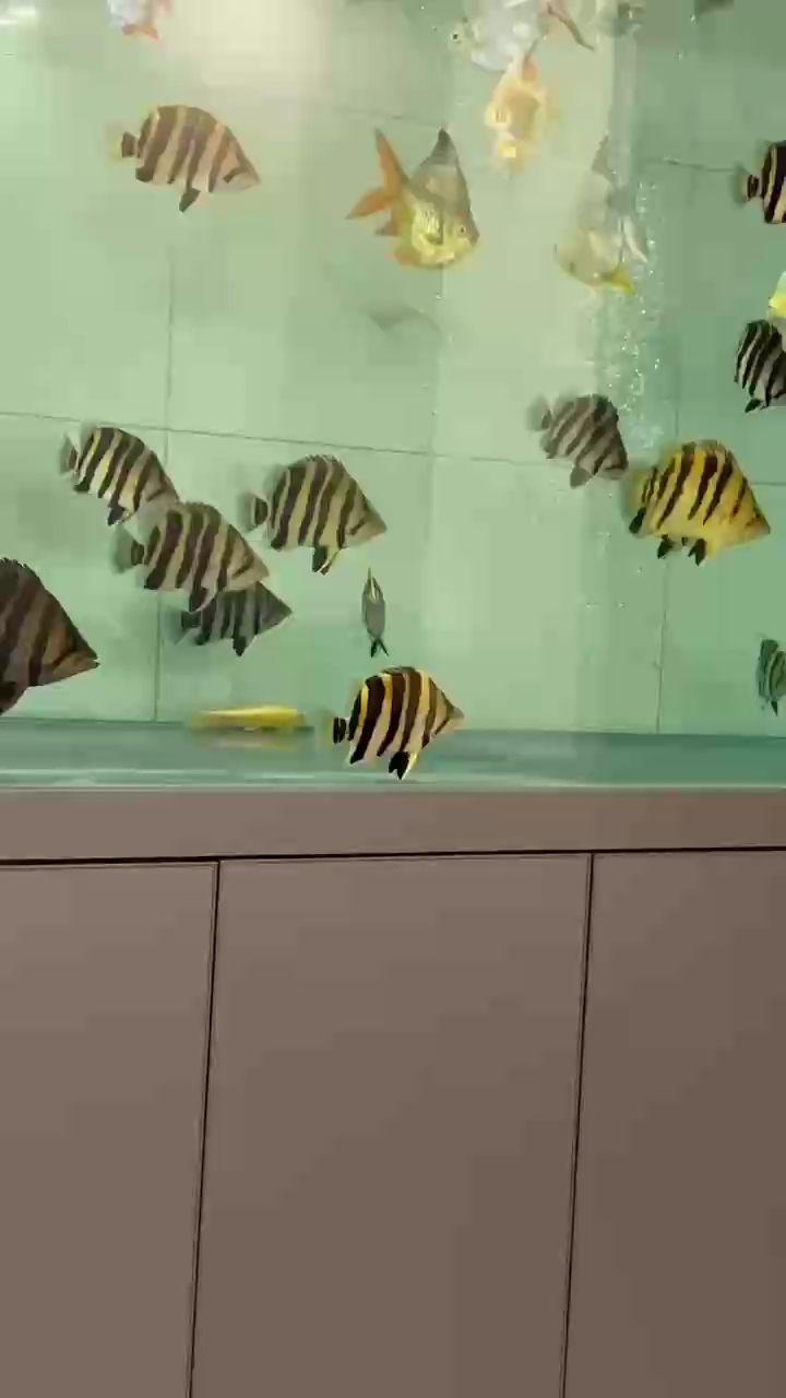 空蕩蕩了