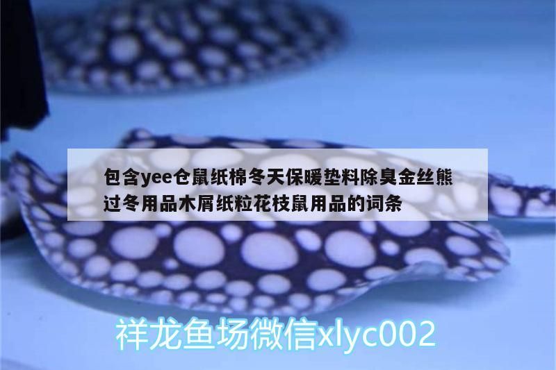 祥龍魚場還有哪些龍魚食料？，祥龍魚場專用飼料喂養(yǎng)指南 祥龍魚場還有哪些龍魚食料？，祥龍魚場專用飼料喂養(yǎng)指南 龍魚百科 第2張