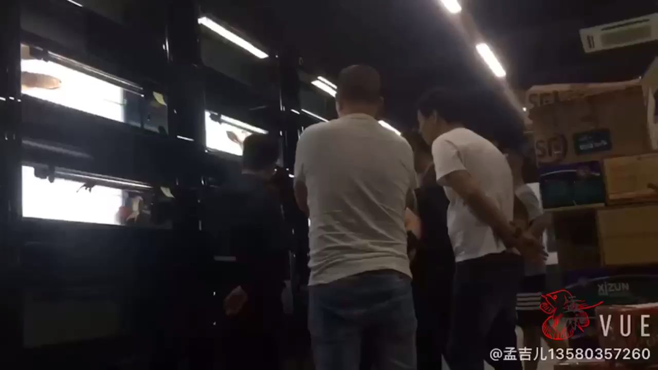 孟吉爾廣州孟吉爾龍巔 孟吉爾廣州孟吉爾龍巔 廣州孟吉爾